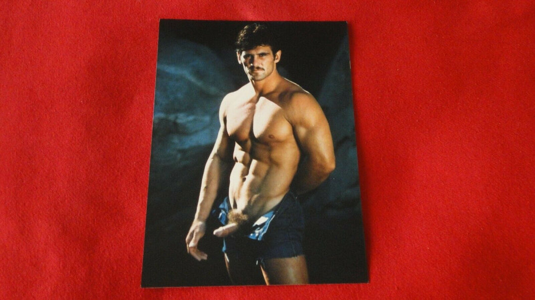 Vintage 18 Y.O + Gay Interest Colt/Fox/Chippendale Nude Hot Male Photo       D*z