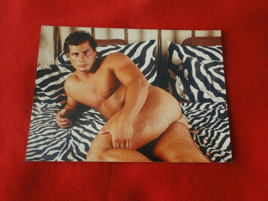 Vintage 18 Y.O + Gay Interest Colt/Fox/Chippendale Nude Hot Male Photo       D$f