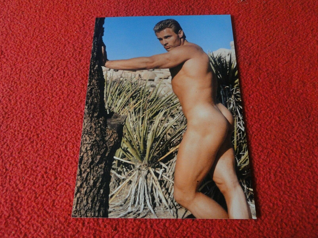 Vintage 18 Year Old + Gay Interest Nude Erotic Sexy Hot Hung Male Photo      D6y