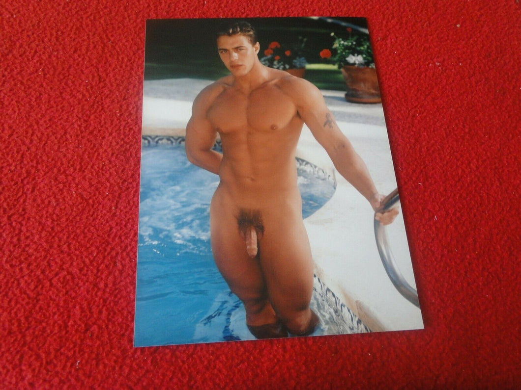 Vintage 18 Y.O. + Gay Interest Chippendale Fox Muscle Nude Hung Male Photo  D13x