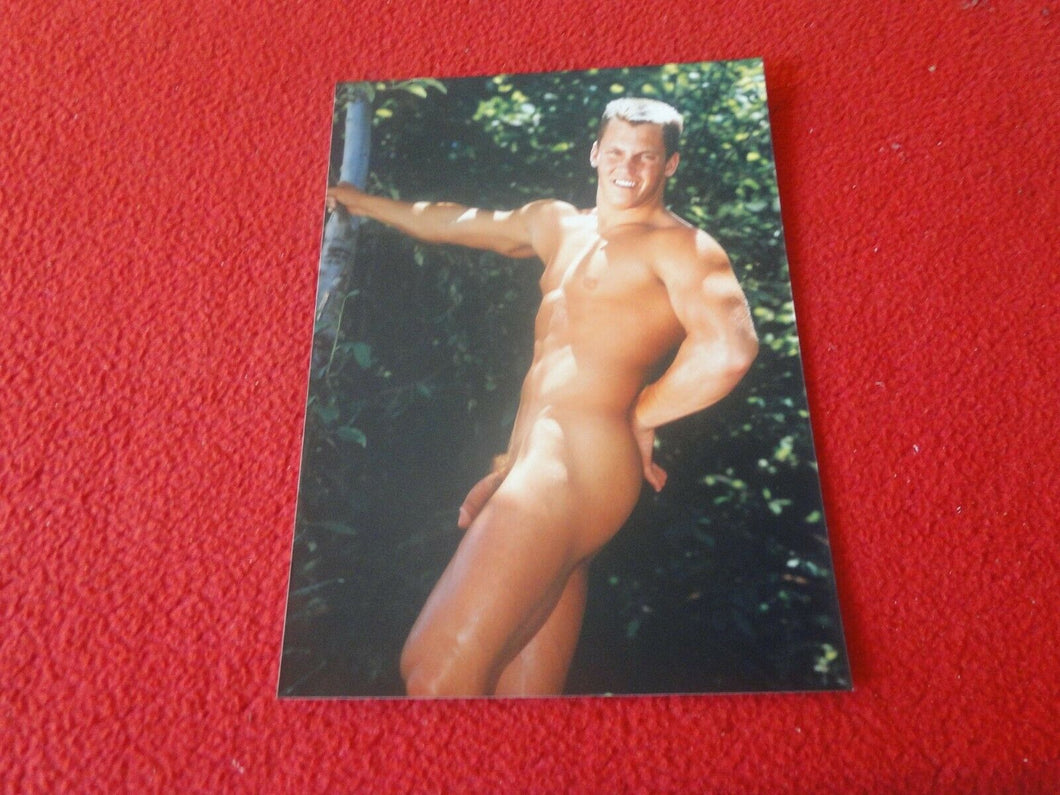 Vintage 18 Y.O. + Gay Interest Chippendale Fox Muscle Nude Hung Male Photo  D16p