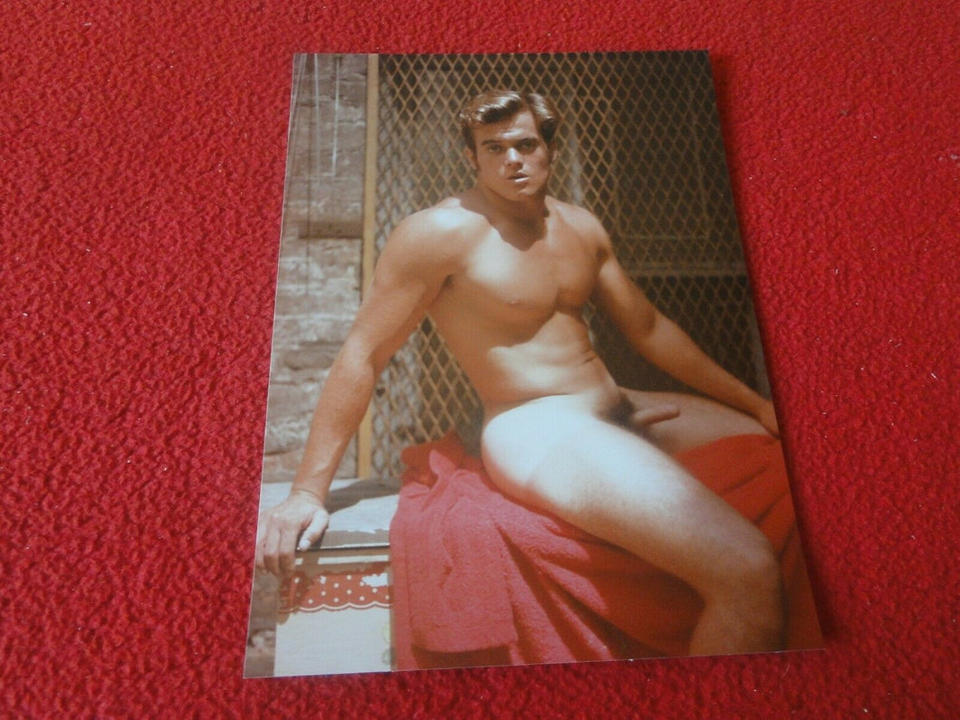 Vintage 18 Y.O. + Gay Interest Chippendale Fox Muscle Nude Hung Male Photo  D11q