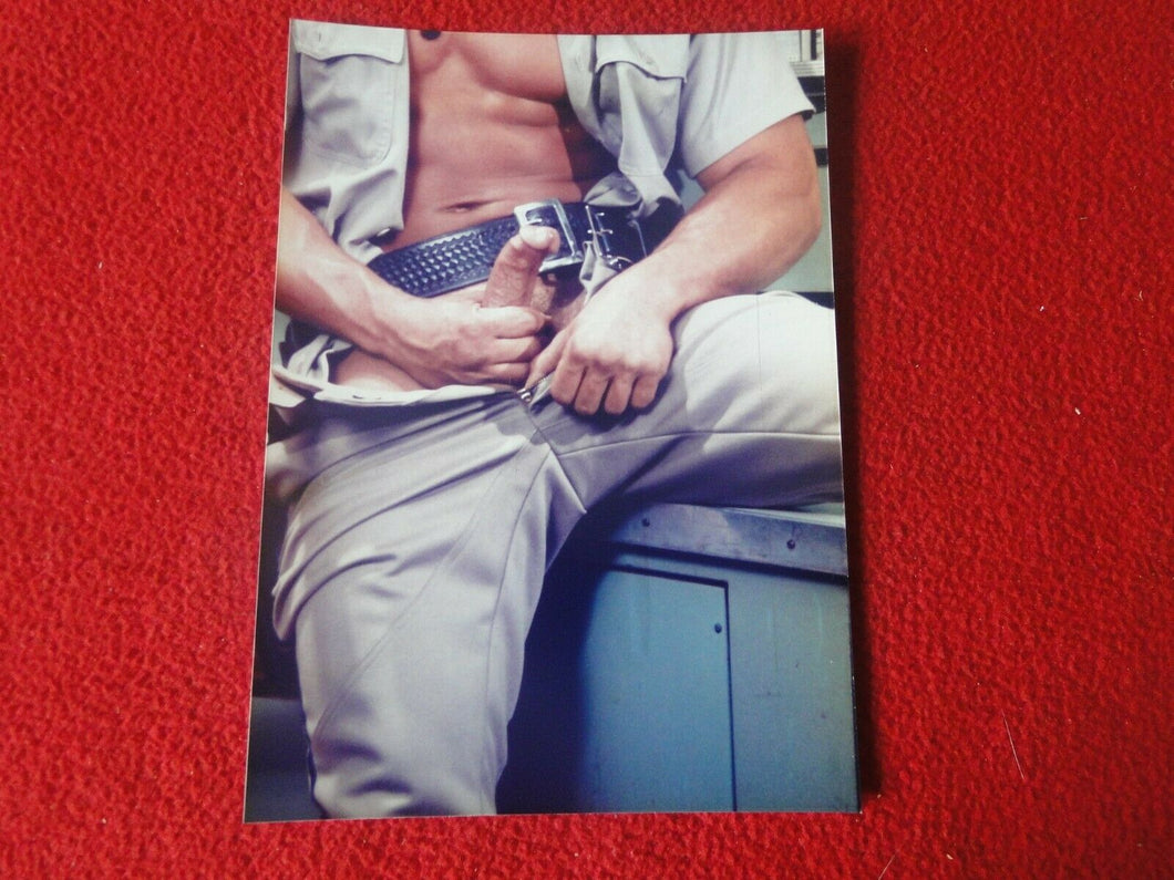 Vintage 18 Y.O. + Gay Interest Colt/Fox/Chippendale Nude Hot Male Photo     D31q