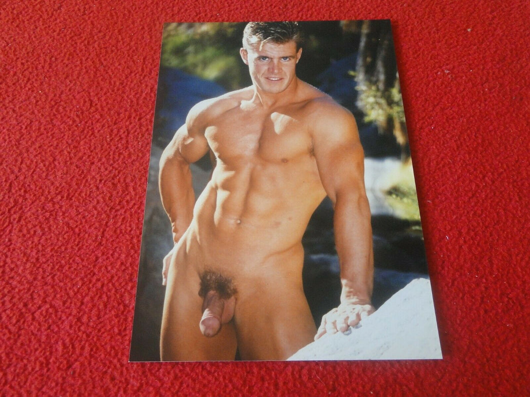 Vintage 18 Y.O. + Gay Interest Chippendale Fox Muscle Nude Hung Male Photo  D15x