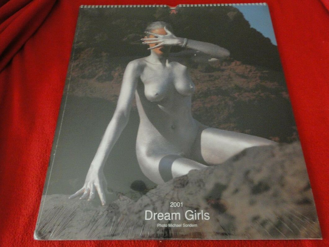 Vintage Semi-Nude Pinup Wall Calendar 2001 Dream Girls SEALED 19 x 16 Inches   G