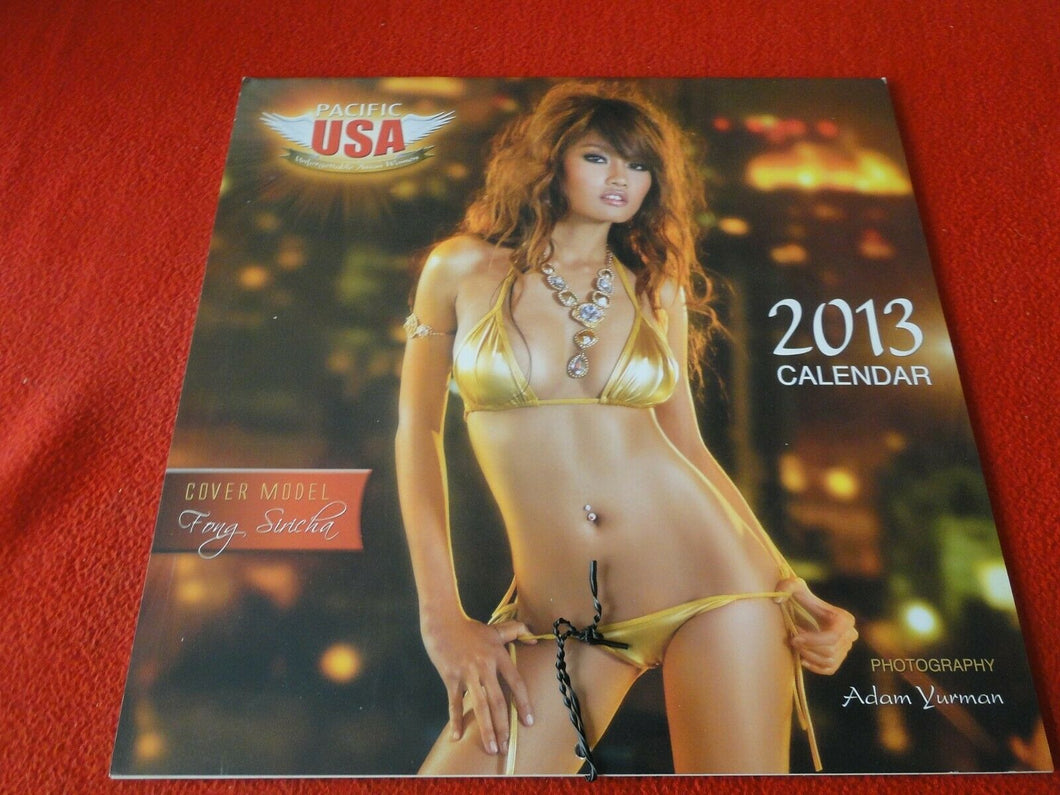 Vintage Large Semi-Nude Pinup Wall Calendar 12 x 12 2013 Pacific USA           B