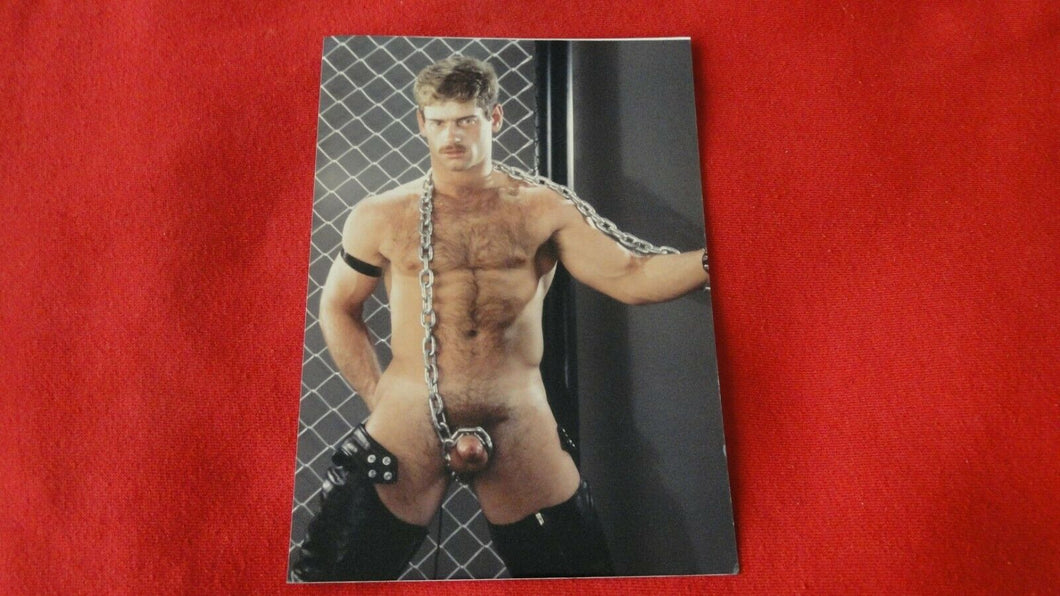 Vintage 18 Y.O + Gay Interest Colt/Fox/Chippendale Nude Hot Male Photo       D*x