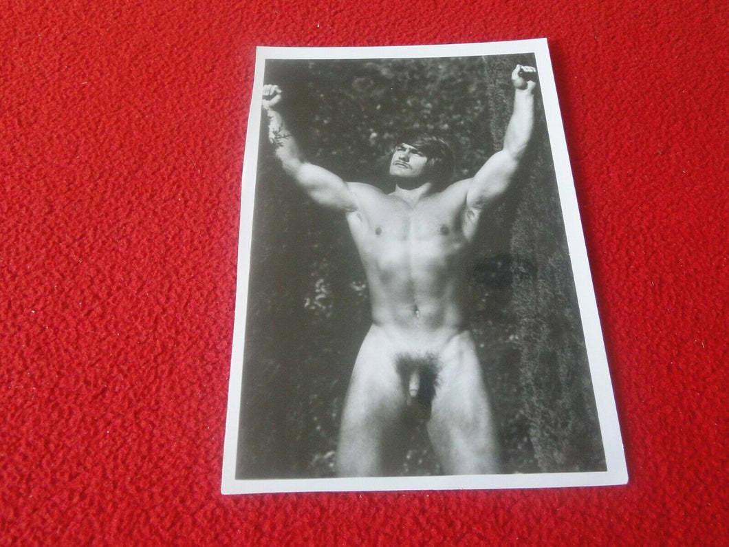 Vintage 18 Y.O. + Gay Interest Chippendale Fox Muscle Nude Hung Male Photo  D13d