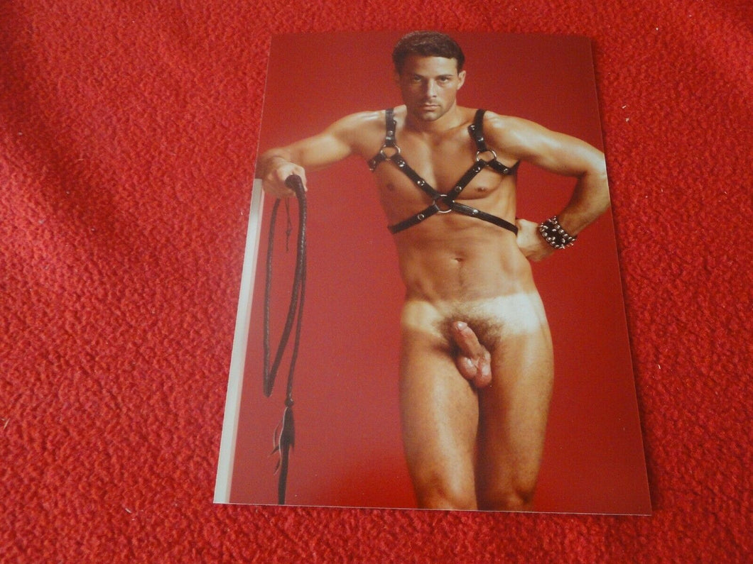 Vintage 18 Year Old + Gay Interest Colt/Fox/Chippendale Nude Hot Male Photo  D26