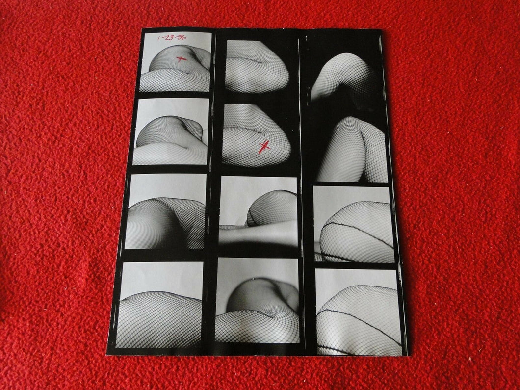 Vintage Nude Erotic Sexy Adult Pinup Contact Print Sheet Professonal Photo    AF