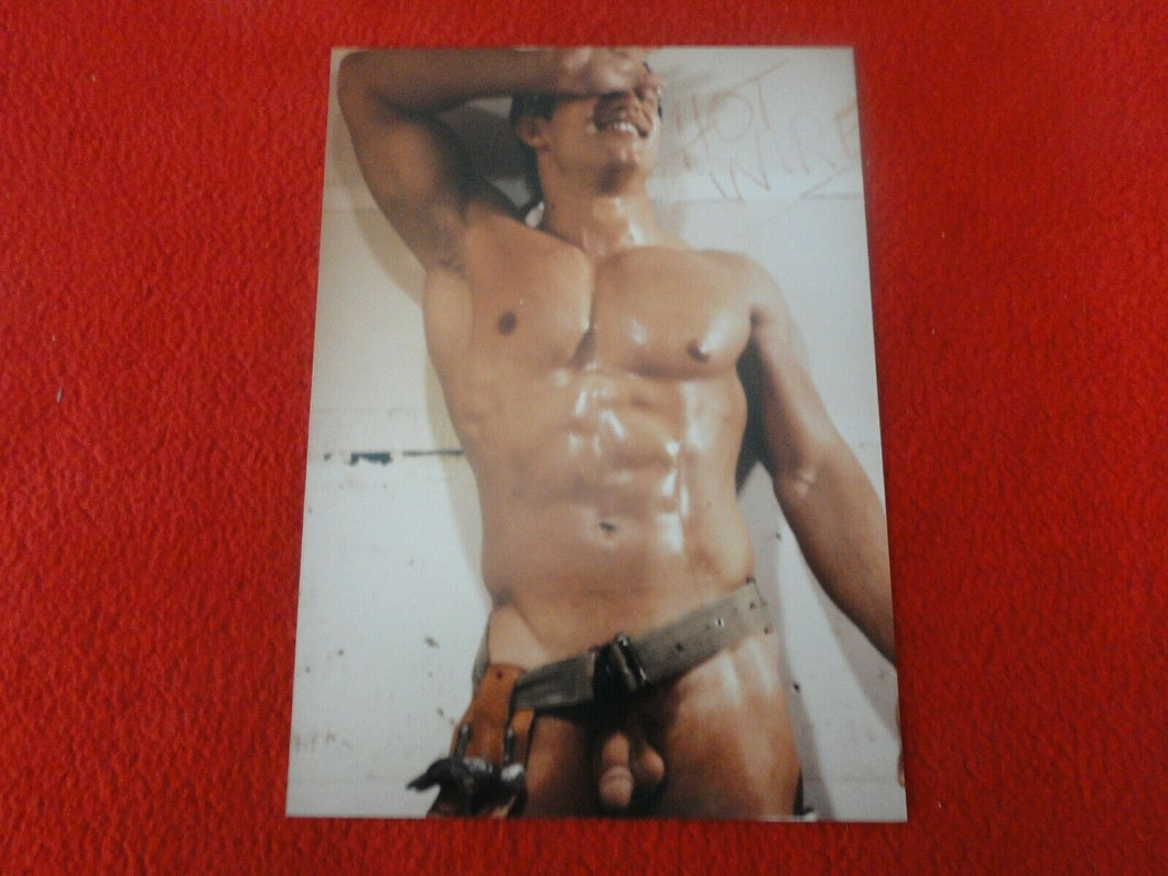 Vintage 18 Y.O. + Gay Interest Colt/Fox/Chippendale Nude Hot Male Photo     D25>