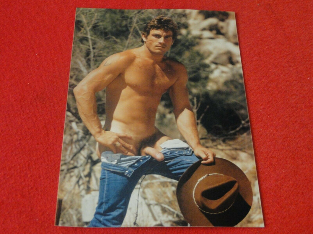 Vintage 18 Year Old + Gay Interest Nude Colt/Fox/Chippendales's Male Photo   D12