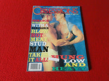 Load image into Gallery viewer, Vintage Adult Erotic Sexy Magazine Gay Interest Obsessions January 1995       DI
