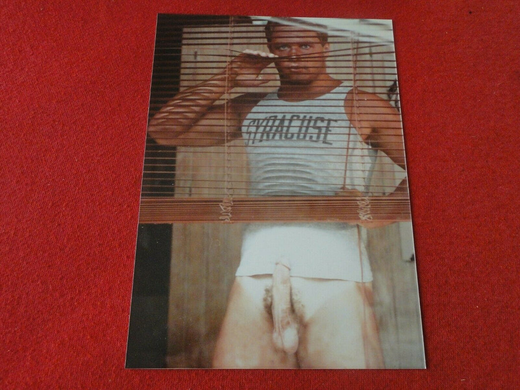 Vintage 18 Year Old + Gay Interest Nude Colt/Fox/Chippendales's Male Photo   D12