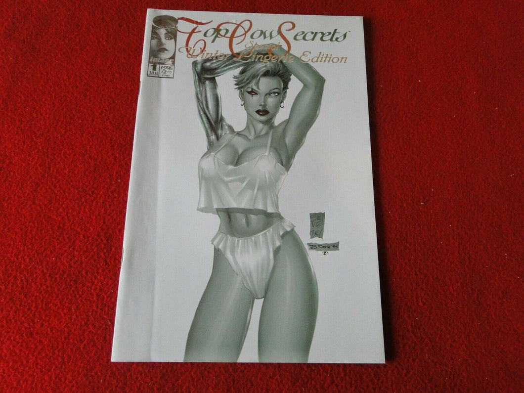 Vintage Erotic Graphic Art Book Magazine Pamphlet Top Cow Secrets 1996       G61