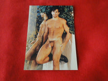 Load image into Gallery viewer, Vintage 18 Y.O + Gay Interest Colt/Fox/Chippendale Nude Hot Male Photo       D$1
