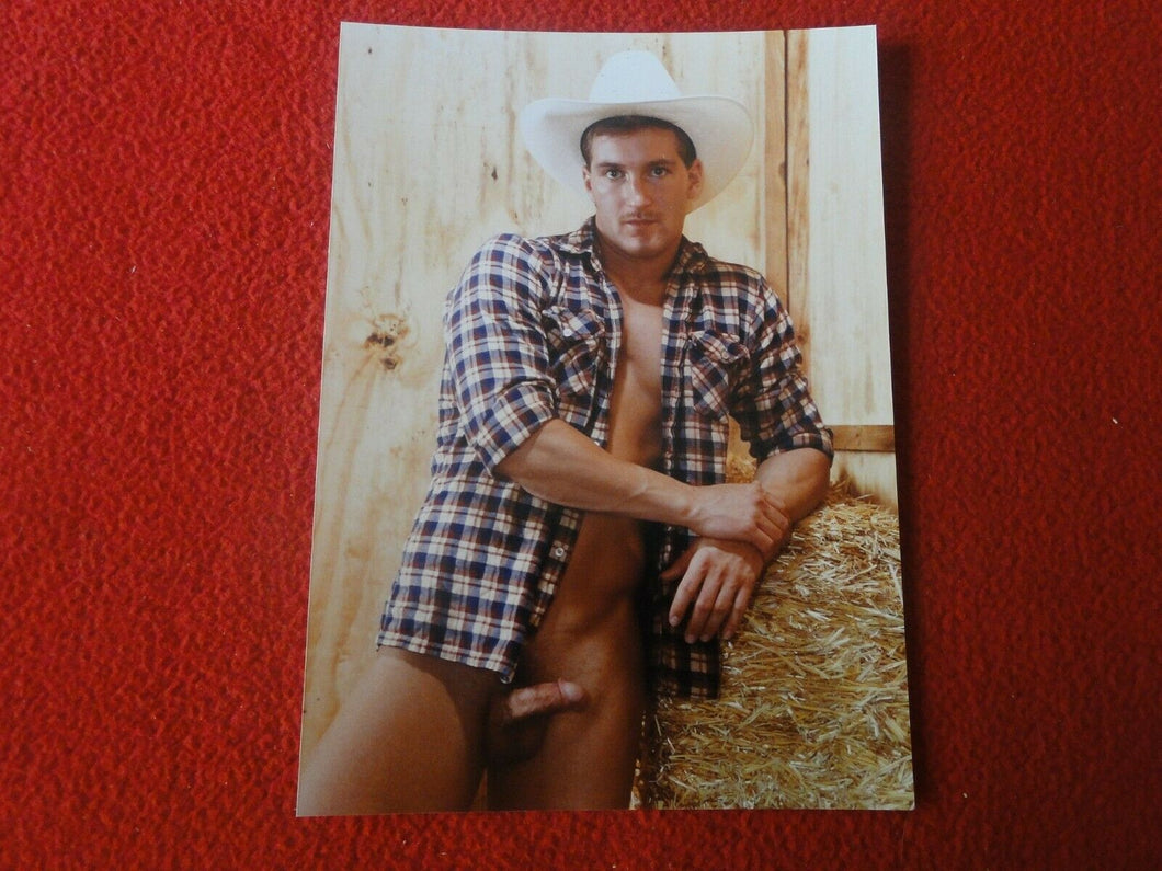 Vintage 18 Y.O. + Gay Interest Colt/Fox/Chippendale Nude Hot Male Photo     D28s
