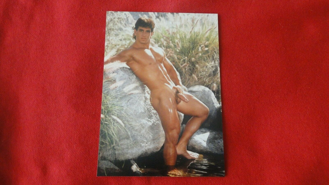 Vintage 18 Y.O + Gay Interest Colt/Fox/Chippendale Nude Hot Male Photo       D*d