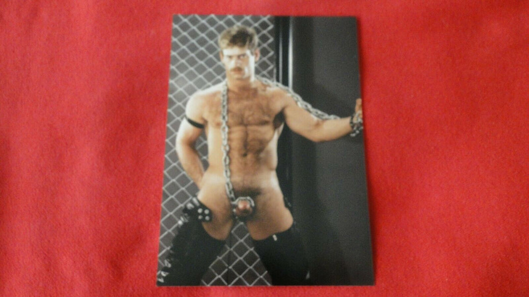 Vintage 18 Y.O + Gay Interest Colt/Fox/Chippendale Nude Hot Male Photo       D*n