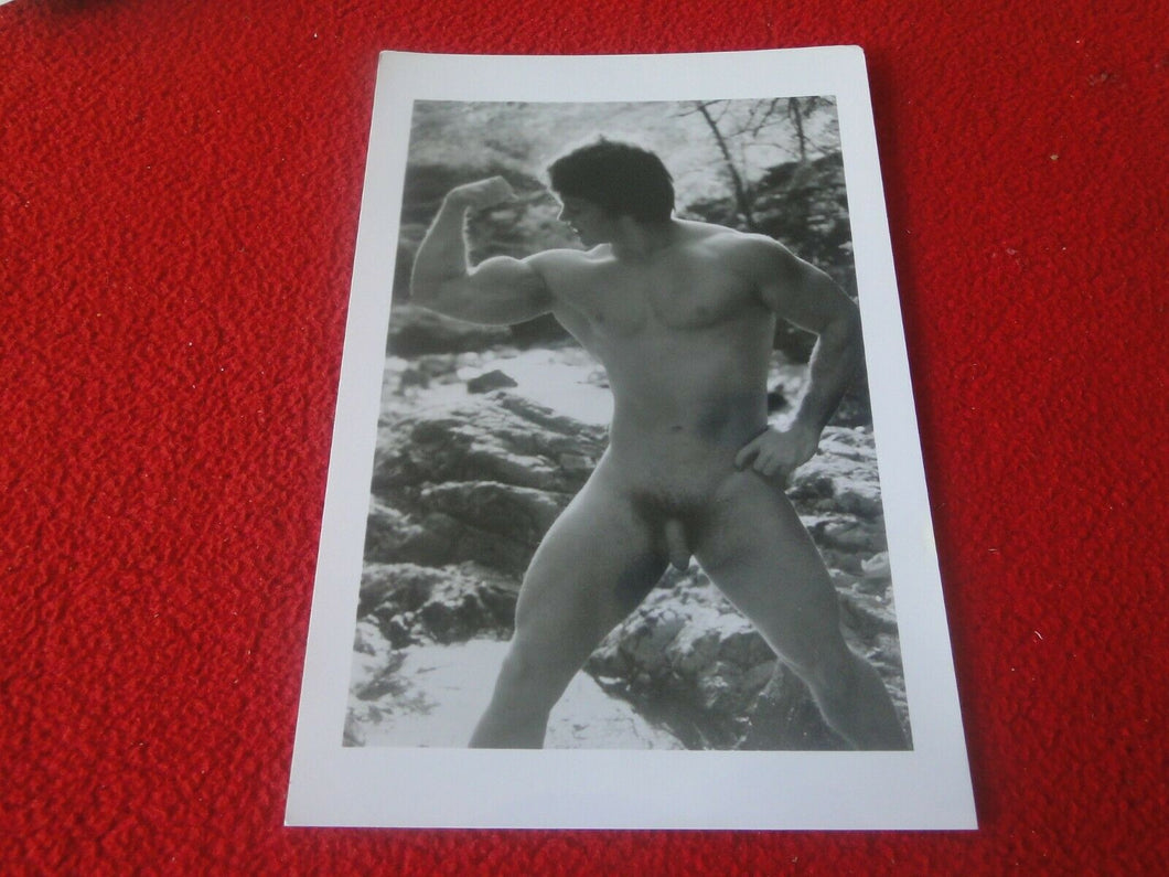 Vintage 18 Y.O. + Gay Interest Chippendale Fox Muscle Nude Hung Male Photo  D15d