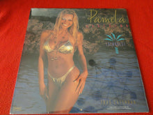 Load image into Gallery viewer, Vintage Large Semi-Nude Pinup Wall Calendar 12 x 12 1996 Pamela Anderson SEALEDB
