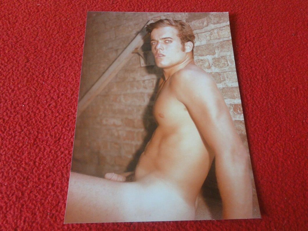 Vintage 18 Y.O. + Gay Interest Chippendale Fox Muscle Nude Hung Male Photo  D11r