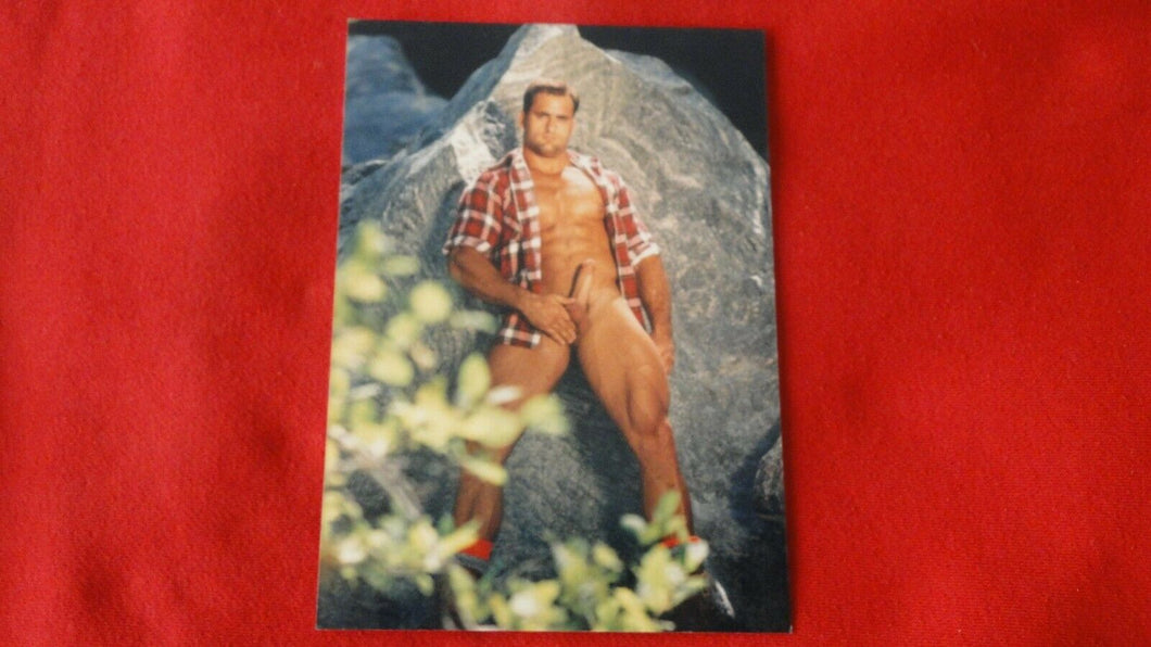 Vintage 18 Y.O + Gay Interest Colt/Fox/Chippendale Nude Hot Male Photo       D*a