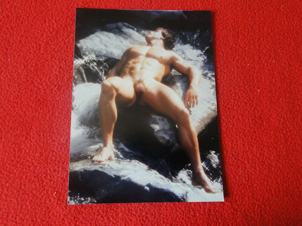 Vintage 18 Y.O. + Gay Interest Colt/Fox/Chippendale Nude Hot Male Photo     D31x