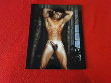 Load image into Gallery viewer, Vintage 18 Y.O. + Gay Interest Nude Hot Hung Muscular Male Photo 8 x 10     H25J
