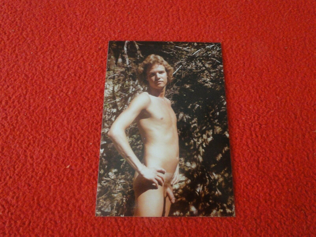 Vintage 18 Year Old + Gay Interest Colt/Fox/Chippendale Nude Hot Male Photo  A54