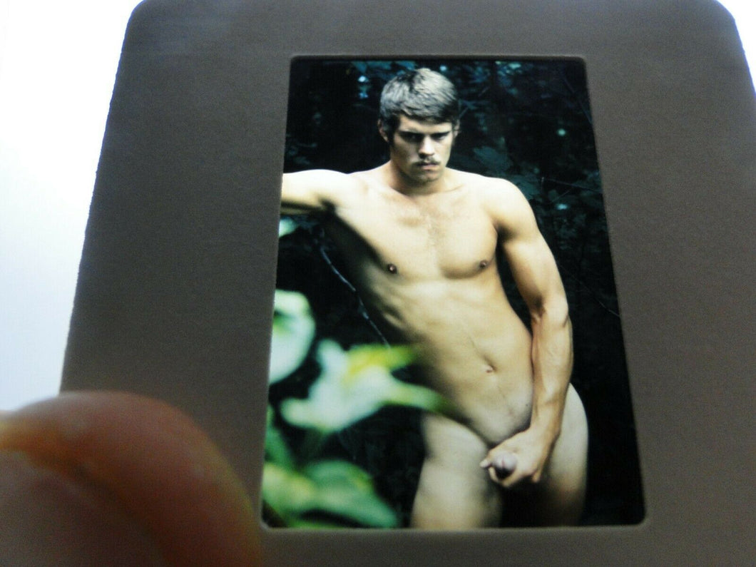 VINTAGE SLIDE/PHOTO MALE GAY INTEREST BEEFCAKE MUSCLE NUDE HOT HUNG A21