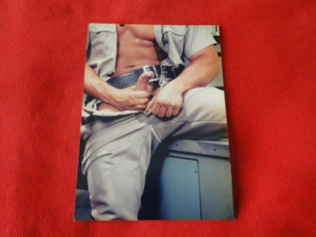 Vintage 18 Y.O + Gay Interest Colt/Fox/Chippendale Nude Hot Male Photo       D$u