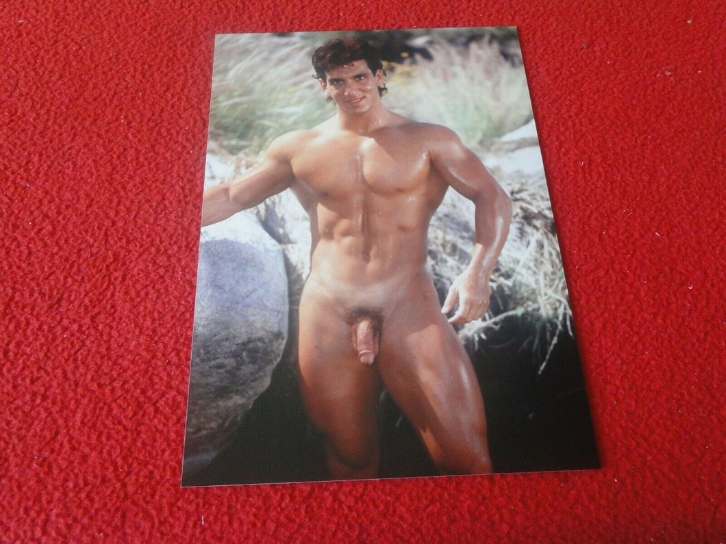 Vintage 18 Y.O. + Gay Interest Chippendale Fox Muscle Nude Hung Male Photo  D11s