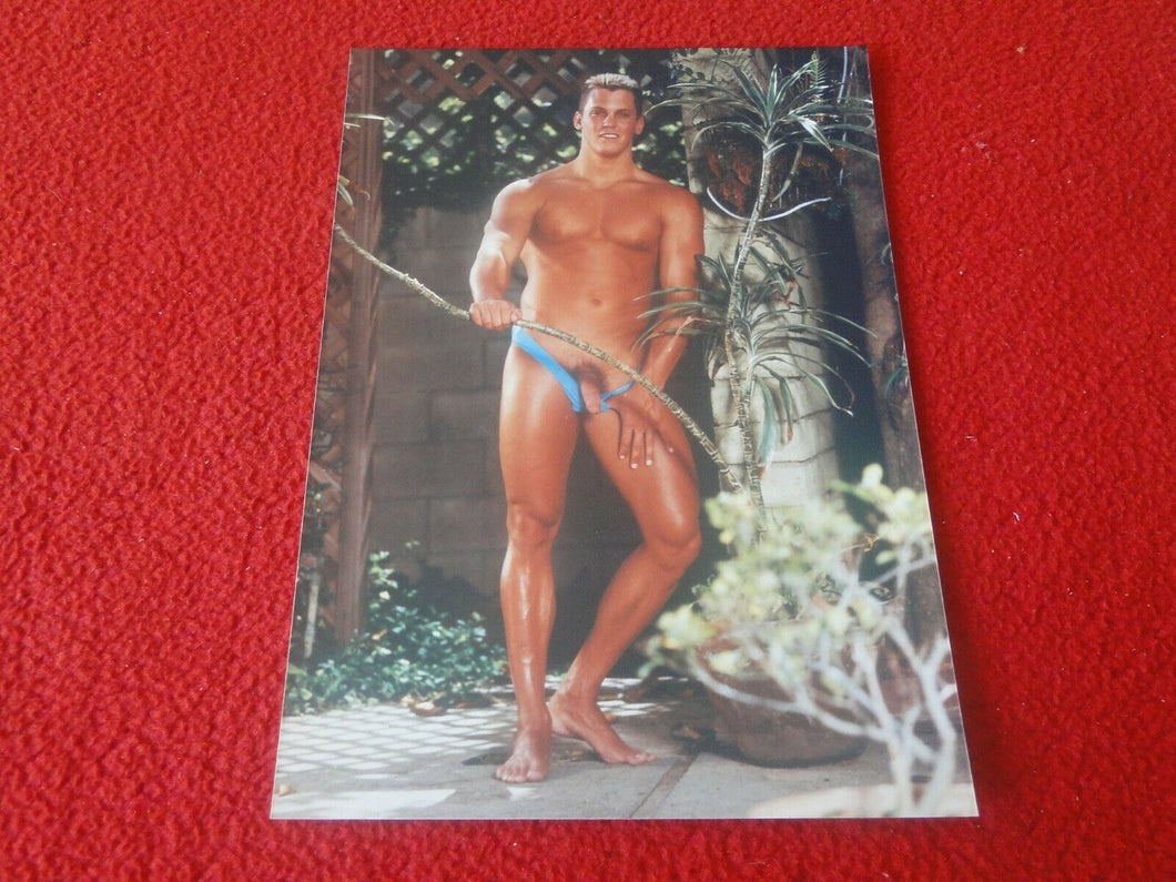 Vintage 18 Y.O. + Gay Interest Chippendale Fox Muscle Nude Hung Male Photo  D16n
