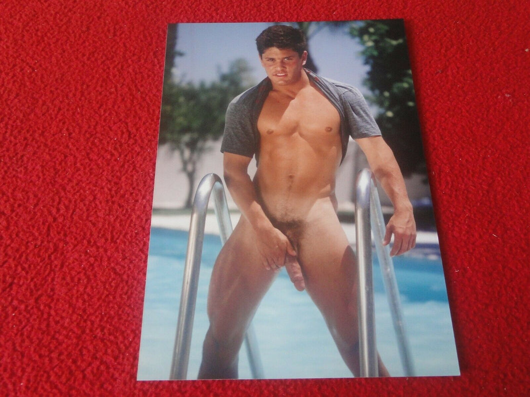 Vintage 18 Y.O. + Gay Interest Chippendale Fox Muscle Nude Hung Male Photo  D10r
