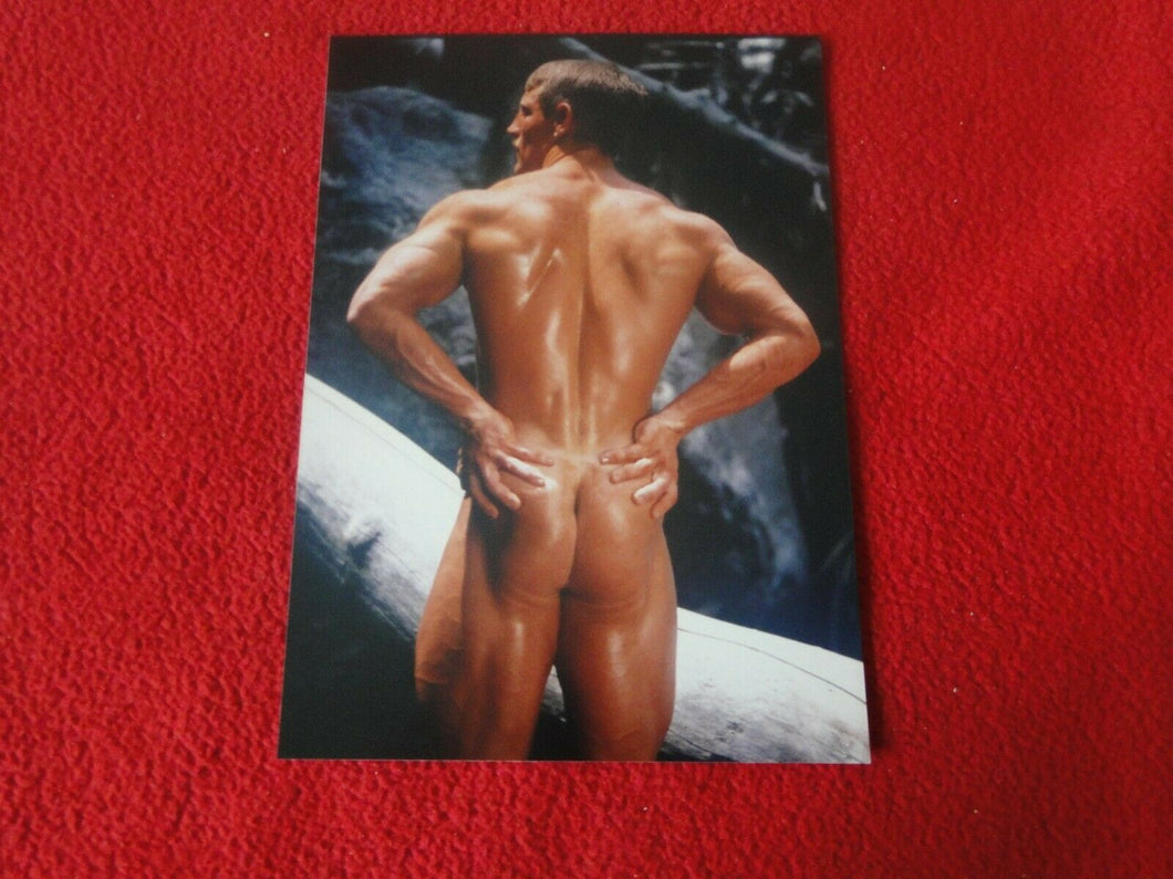 Vintage 18 Year Old+ Gay Interest Colt/Fox/Chippendale Nude Male Photo      D23u