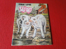 Load image into Gallery viewer, Vintage Nude Erotic Sexy Adult Men&#39;s Magazine Comic Sex to Sexty #19          GB
