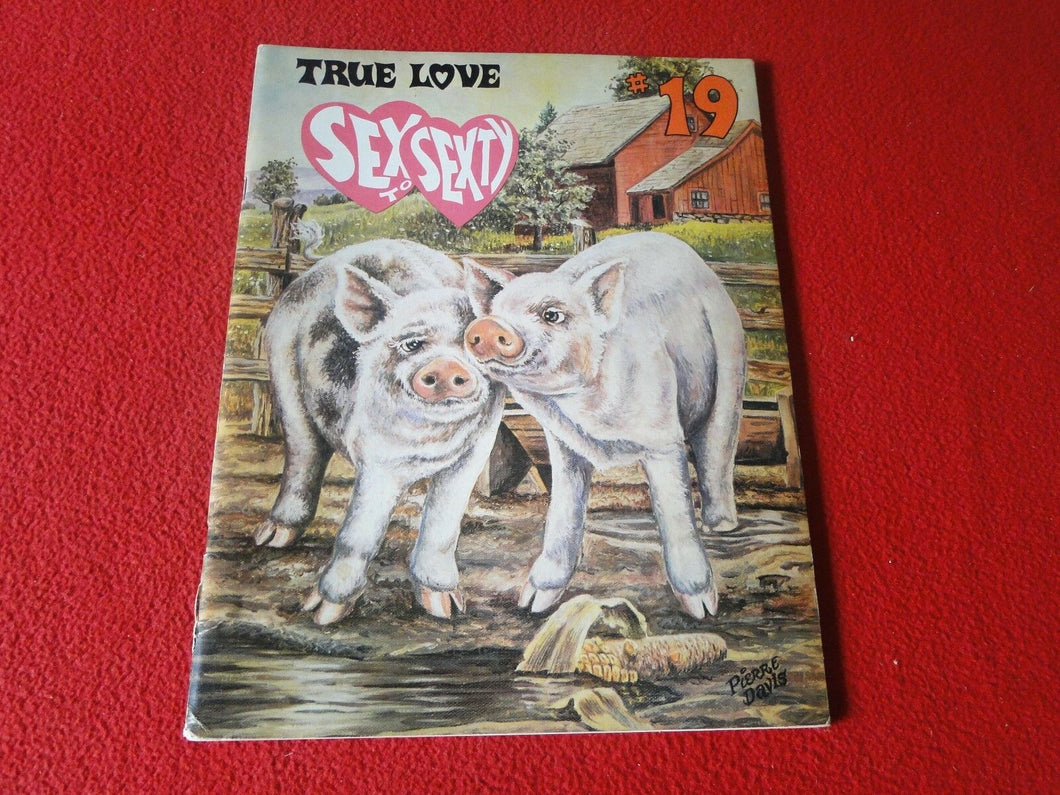Vintage Nude Erotic Sexy Adult Men's Magazine Comic Sex to Sexty #19          GB