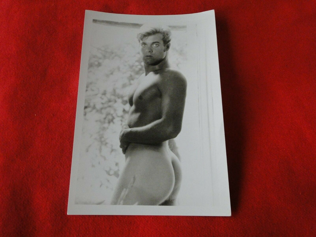 Vintage 18 Y.O. + Gay Interest Colt/Fox/Chippendale Nude Hot Male Photo      D=6