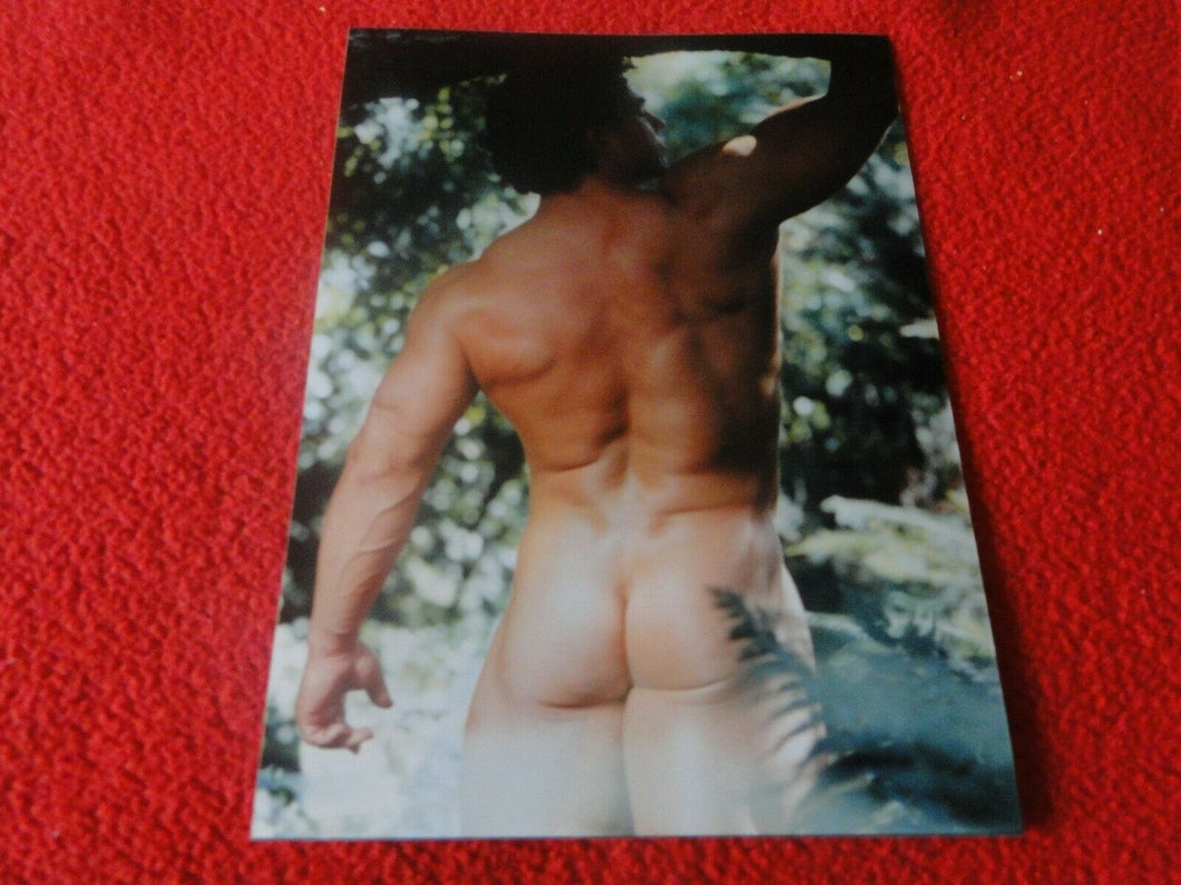 Vintage 18 Year Old + Gay Interest Chippendale/Colt/Fox Semi Nude Male Photo D28
