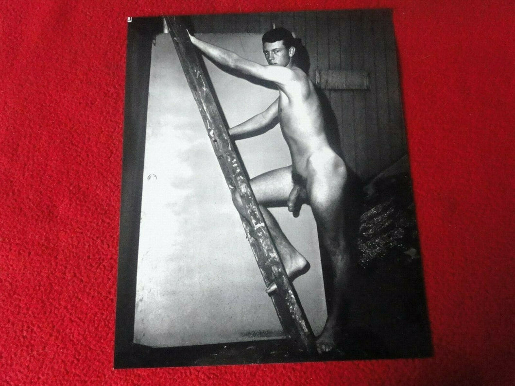 Vintage 18 Y.O. + Gay Interest Nude Hot Hung Muscular Male Photo 8 x 10     D21l