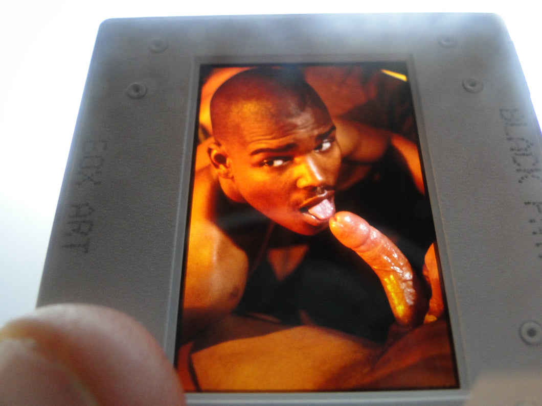 VINTAGE 35MM GAY MALE SLIDE BEEFCAKE MUSCLE NUDE FALCON STUDIOS FNr