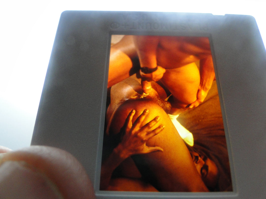 VINTAGE 35MM GAY MALE SLIDE BEEFCAKE MUSCLE NUDE FALCON STUDIOS FNs