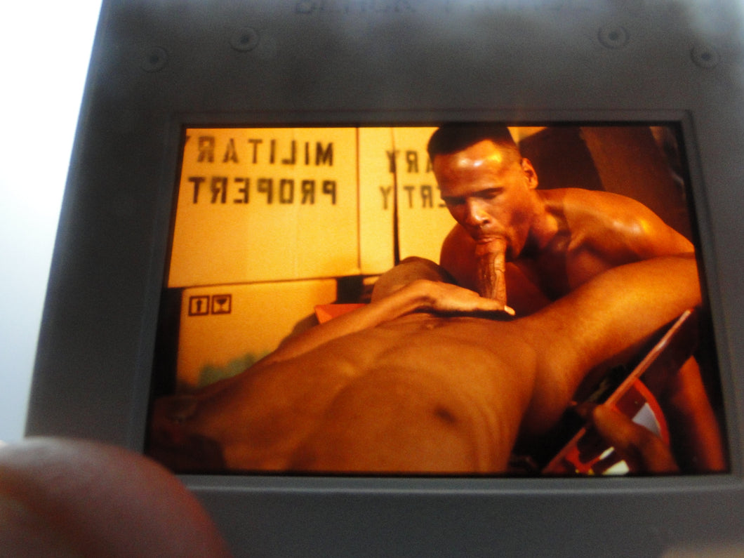 VINTAGE 35MM GAY MALE SLIDE BEEFCAKE MUSCLE NUDE FALCON STUDIOS FNt