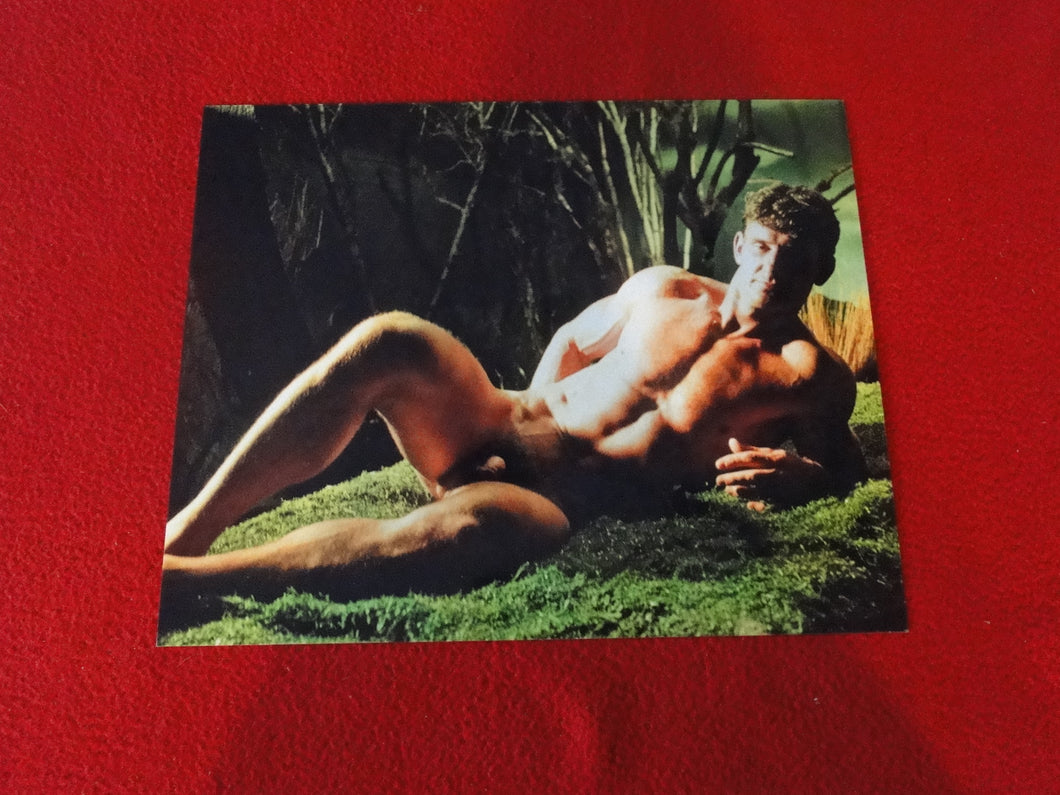 Vintage 18 Y.O. + Gay Interest Nude Hot Hung Muscular Male Photo 8 x 10         D$p