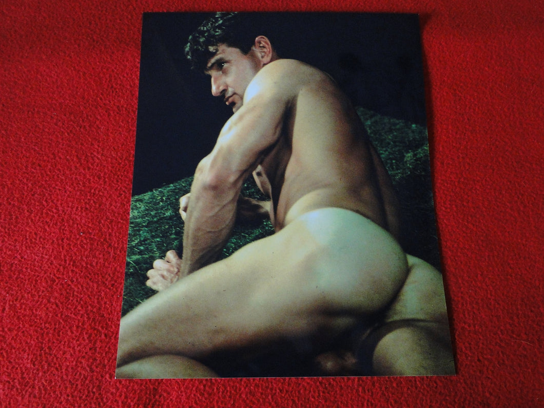 Vintage 18 Y.O. + Gay Interest Nude Hot Hung Muscular Male Photo 8 x 10               D(12