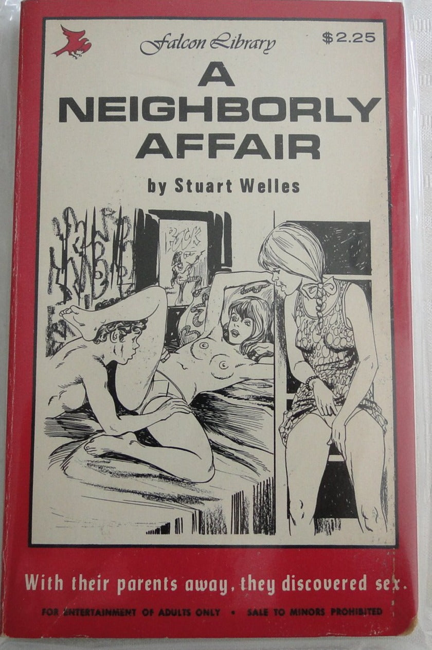 Vintage Adult Paperback Novel/Book A Neighborly Affair