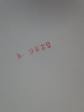 Load image into Gallery viewer, Vintage Nude Woman Shaved Pussy Silver Gelatin Photo  8 x 10     P81q
