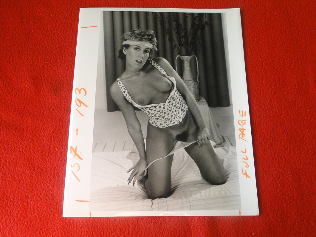 Vintage Nude Woman Hairy Pussy Silver Gelatin Photo   AZg
