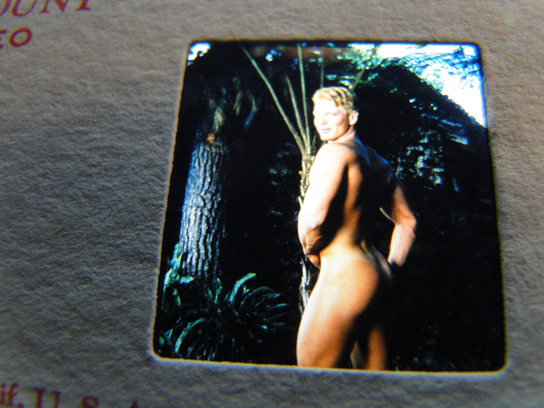 Vintage Adult Erotic 3D Stereoview Nude Hot Hung Gay Man Slide CQ12